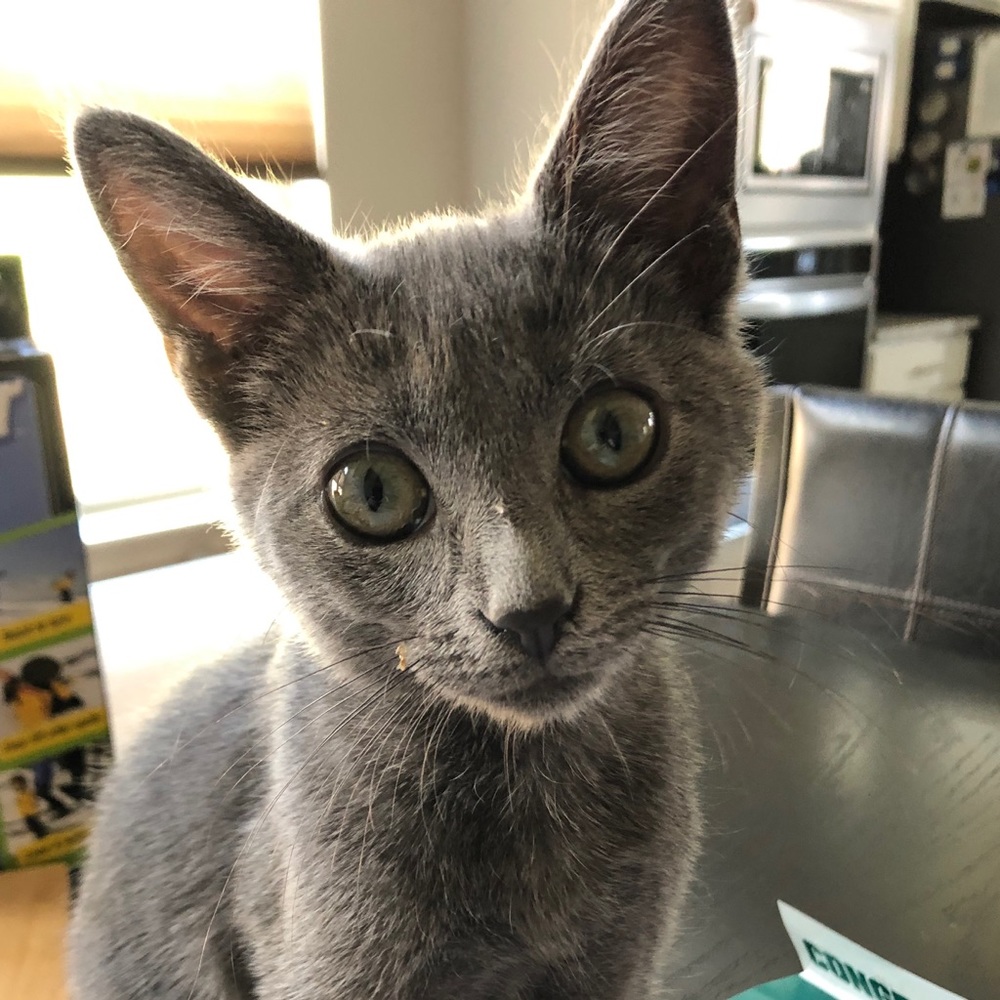 Meet your Posher, Kasumi